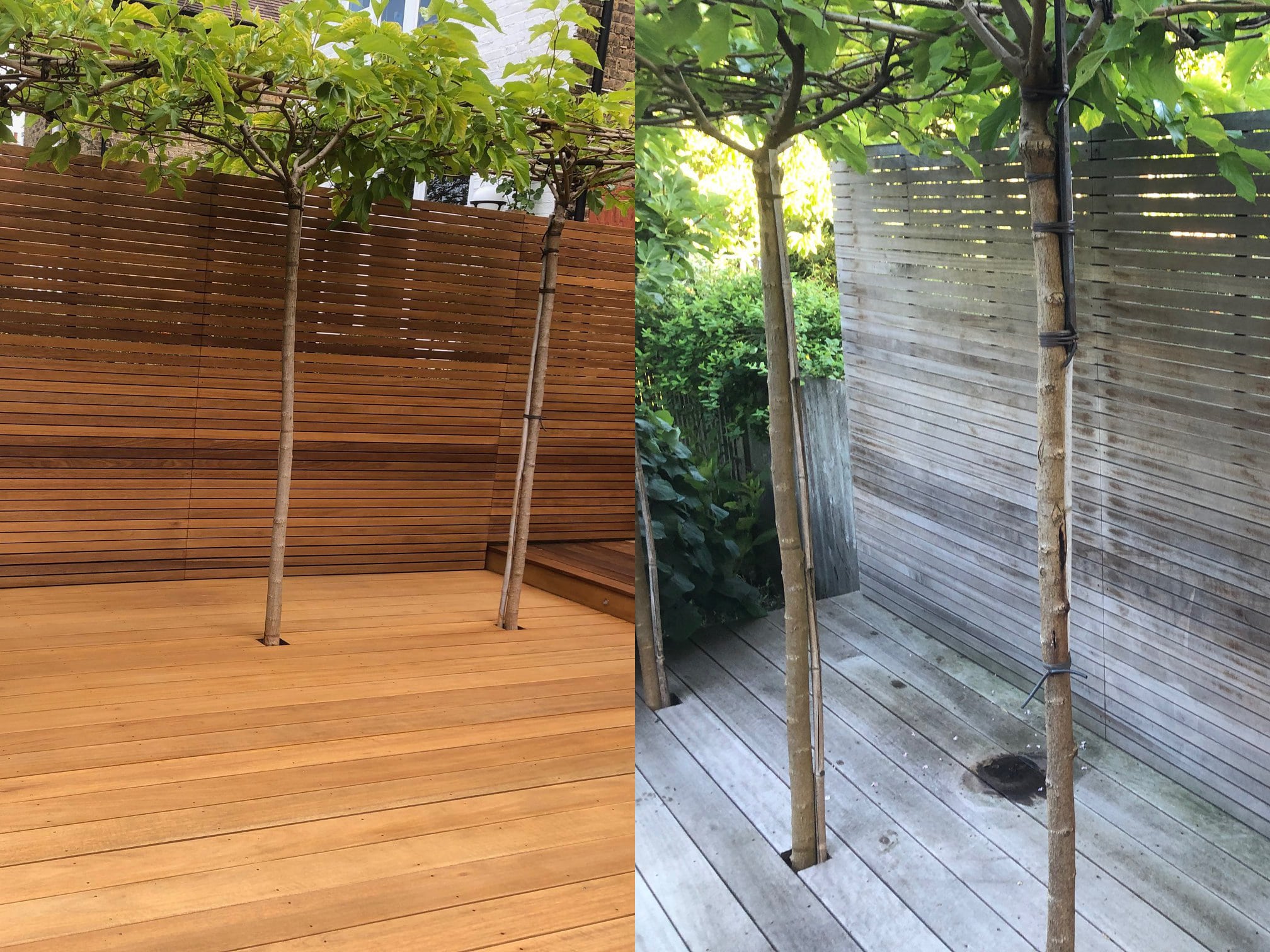 decking news on weathered wood going grey