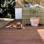 Sustainable Kebony decking with outdoor furniture and a dog