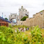 superbloom garden at the tower of london
