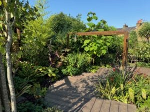 Multi level deck with tropical planting design