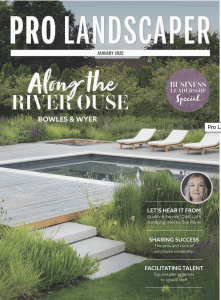 pool decking trends pro landscaper