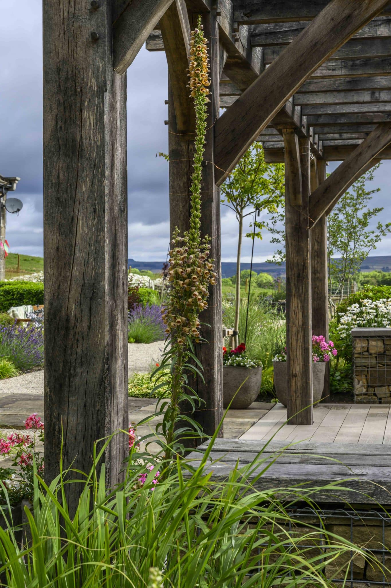 Millboard decking Ilkley Moor by Melissa Morton